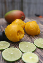 Load image into Gallery viewer, Mango &amp; Lime Sorbetto
